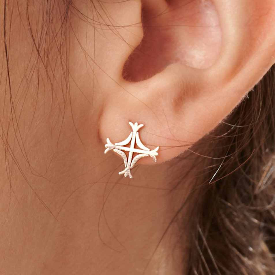 [Asteri] earring - 아스테리